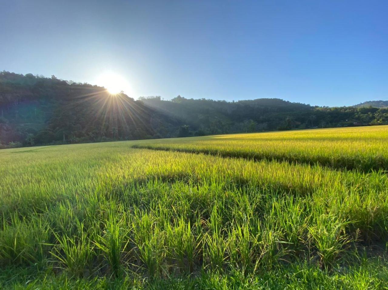Tanah Merah Glamping Village Kuala Kangsar Luaran gambar