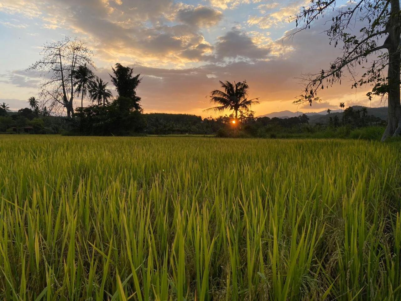 Tanah Merah Glamping Village Kuala Kangsar Luaran gambar